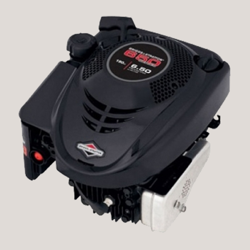 Moteur de tondeuse Briggs & Stratton 5 HP